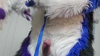 Johnny Huskey – Paw off and cum :3